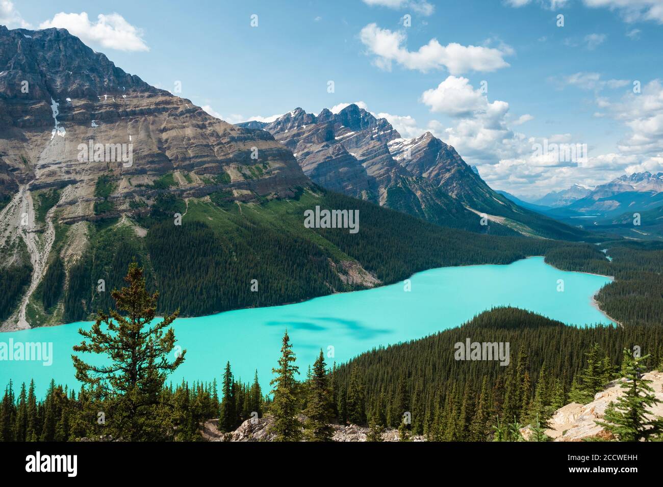Peyto Lake nel Parco Nazionale di Banff, Alberta, Canada. Foto Stock