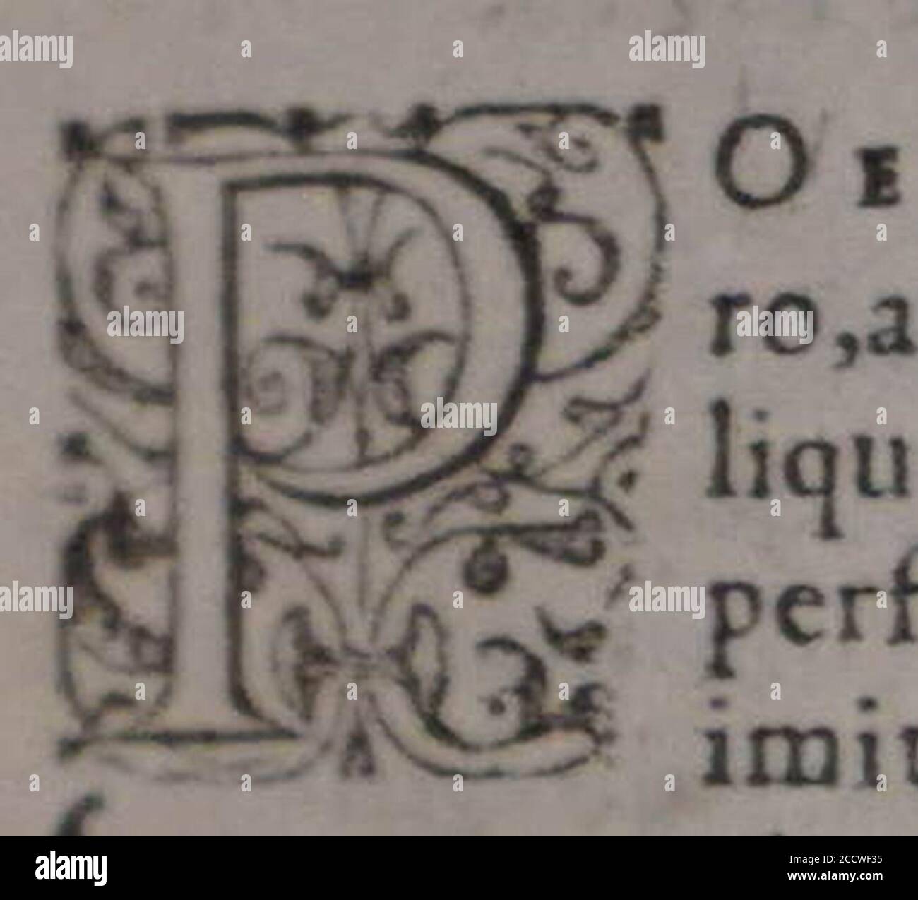 JC Scaliger 08006 Liber quintus P. Foto Stock