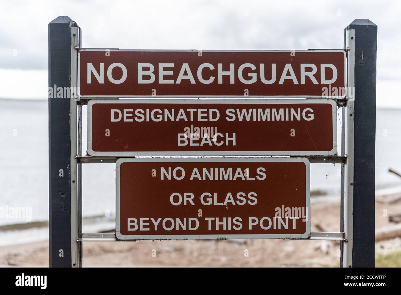 Un segno che dice che nessun beachguard deisignated spiaggia di nuoto e. nessun animale o bicchiere oltre questo punto Foto Stock