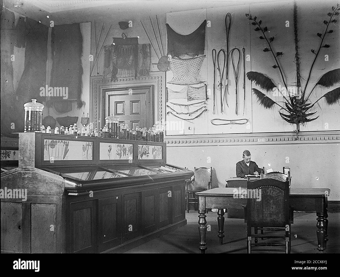 JH Maiden in Herbarium Royal Botanic Gardens c1895. Foto Stock