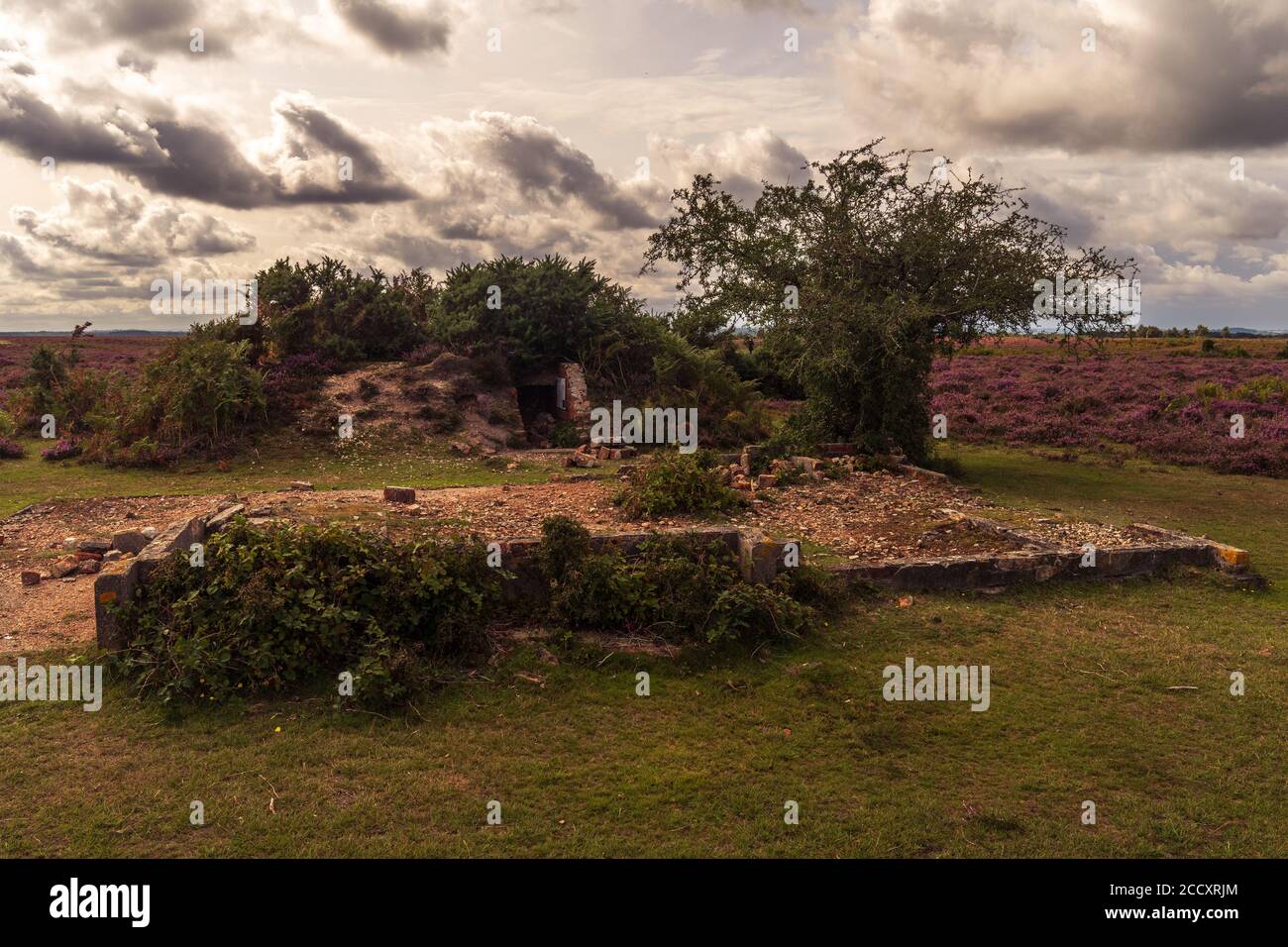 Resti di rifugio aereo raid accanto al sito della seconda guerra mondiale alta frequenza direzione Finding Station su Ibsley Common, New Forest, Hampshire, Regno Unito Foto Stock