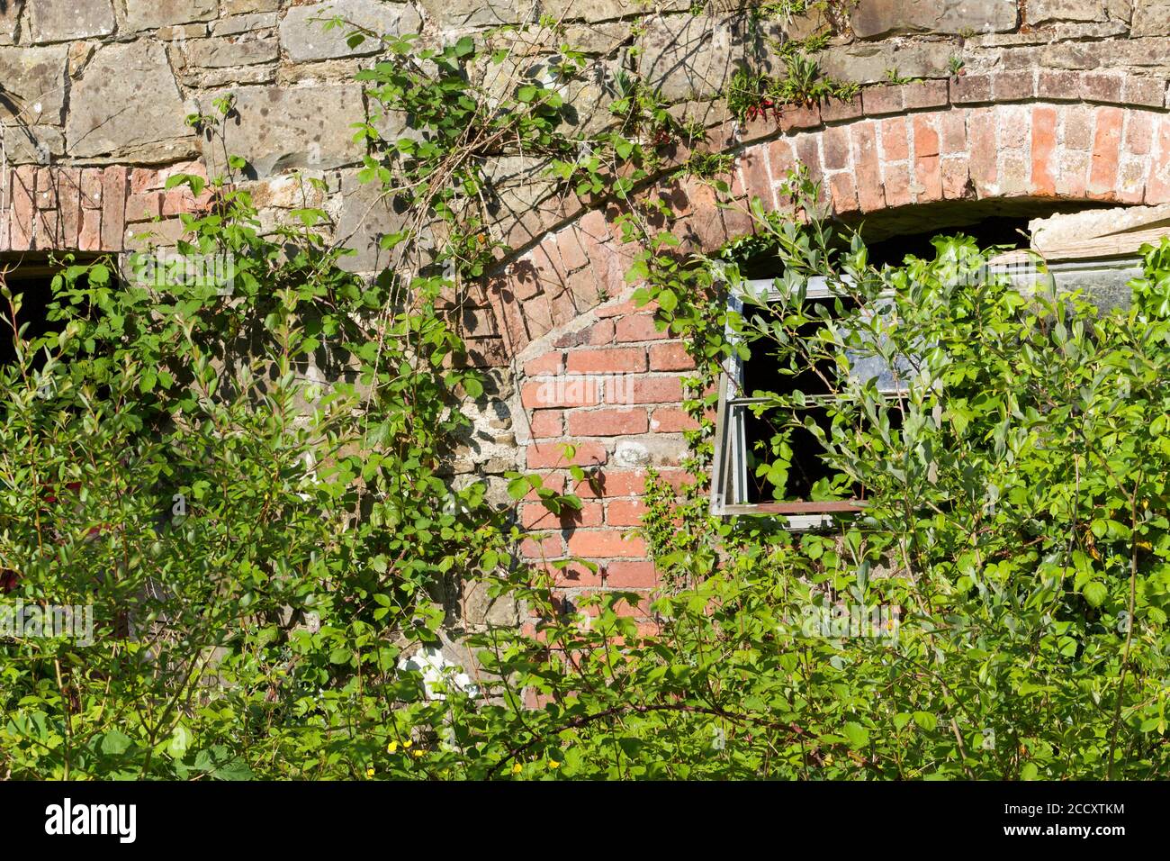 Edificio abbandonato in una vecchia fattoria Foto Stock