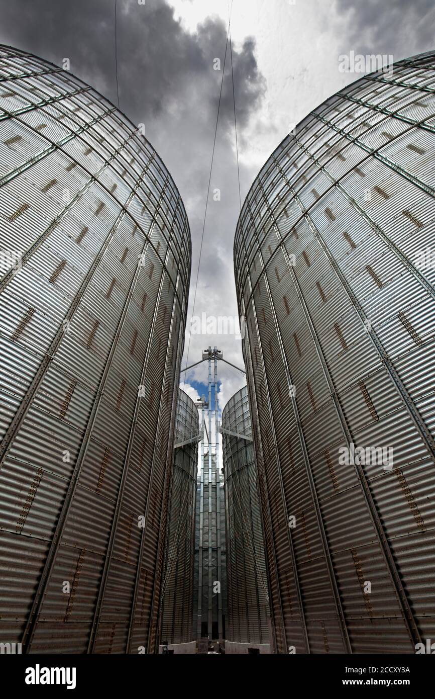 I silos di grano vicino a Luis Eduardo Mahalhaes, Bahia, Brasile Foto Stock