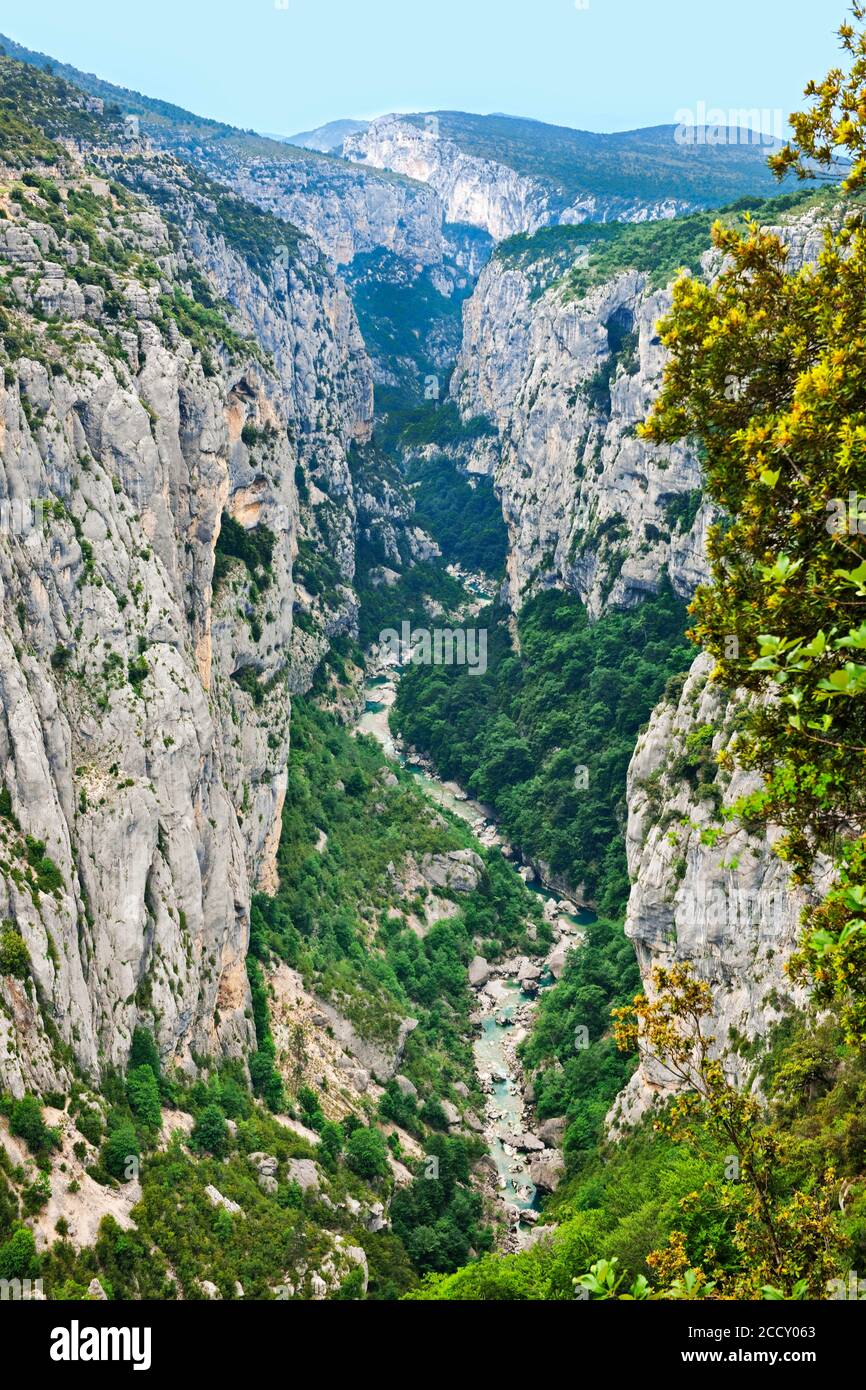 Gorges du Verdon, Grand Canyon du Verdon, Dipartimento Alpi dell'alta Provenza, Provenza, Francia Foto Stock