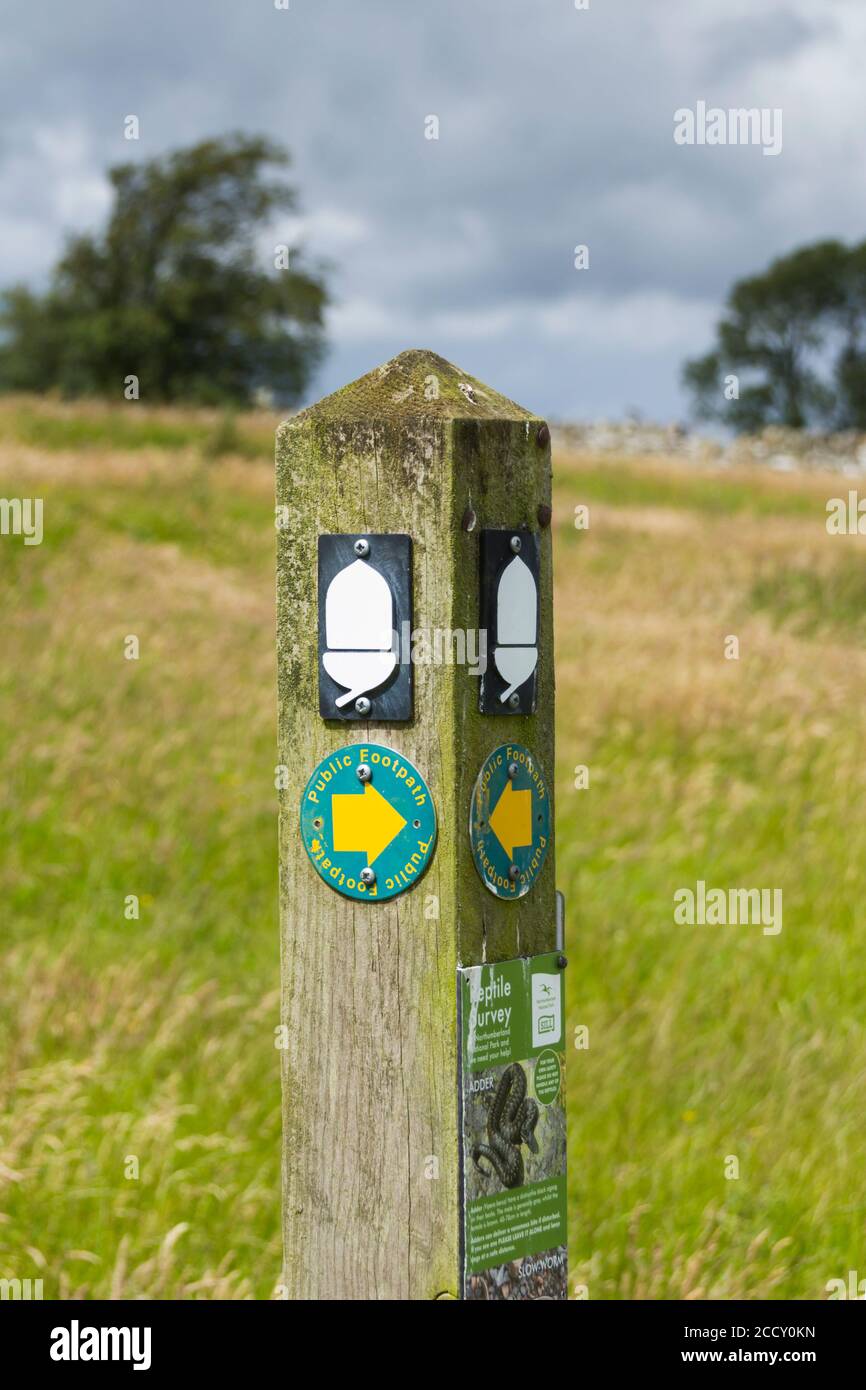 Simbolo di Acorn sul Sentiero del Muro di Adriano nel Northumberland, il simbolo indica i quindici sentieri a lunga distanza National Trails of England and Wales, Foto Stock