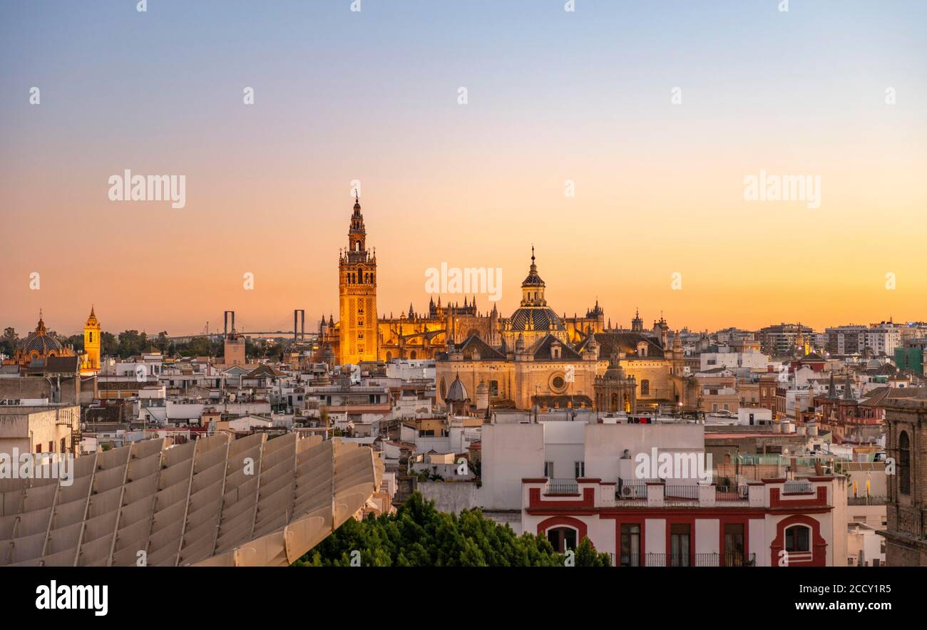 Vista dal Metropol Parasol sulla città al tramonto, Cattedrale illuminata di Siviglia con la torre la Giralda, Siviglia, Andalusia, Spagna Foto Stock