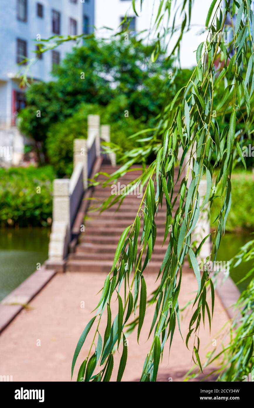 Ponte ad arco in pietra e salice da vicino di un piccolo Ruscello in un villaggio cinese Foto Stock