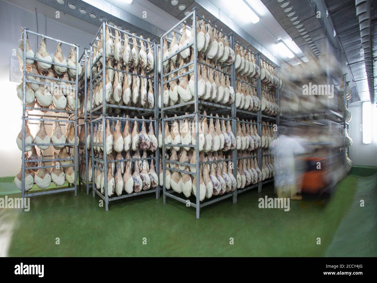 Il dipendente porta il prosciutto curato nel magazzino frigorifero, nella fabbrica di Cantimpalos, nella provincia di Segovia, in Spagna Foto Stock