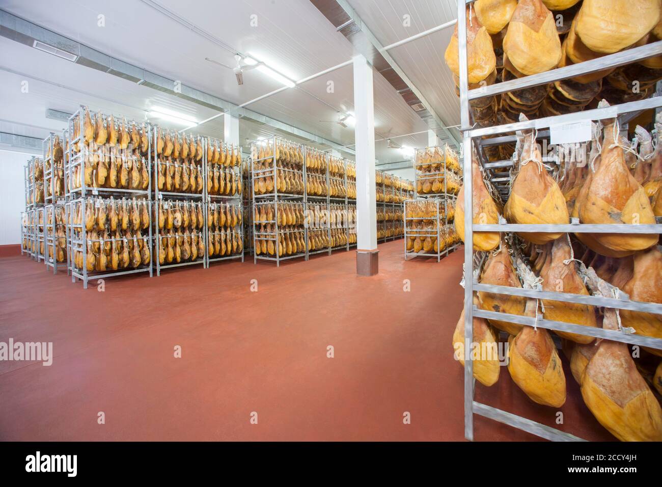 Deposito con prosciutto crudo, stabilimento di Cantimpalos, provincia di Segovia, Spagna Foto Stock