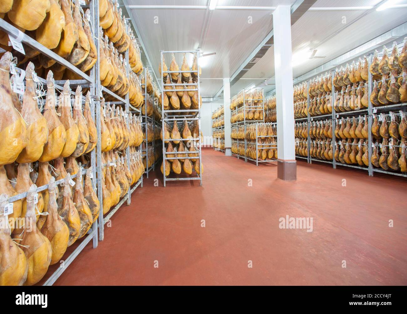 Deposito con prosciutto crudo, stabilimento di Cantimpalos, provincia di Segovia, Spagna Foto Stock