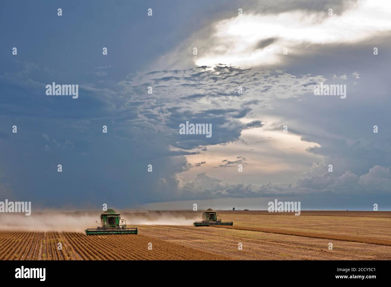 Raccolto meccanizzato di soia vicino a Luis Eduardo Mahalhaes, Bahia, Brasile Foto Stock