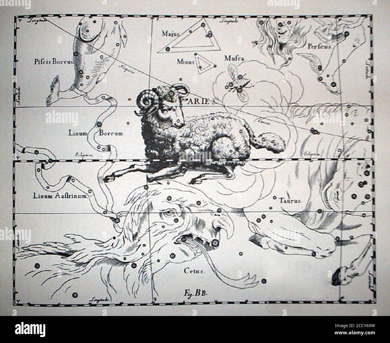 Johannes Hevelius - Prodromus Astronomia - Volume III ‘Firmamentum Sobiescianum sive uranographia‘ - Tavola BB - Ariete. Foto Stock