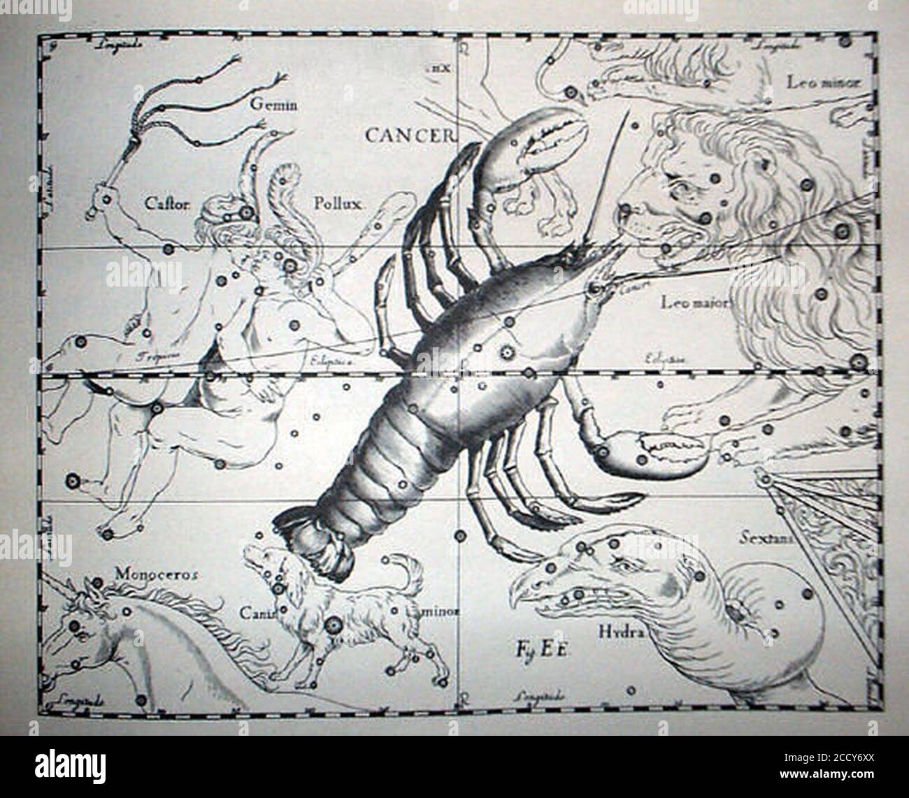 Johannes Hevelius - Prodromus Astronomia - Volume III ‘Firmamentum Sobiescianum sive uranographia‘ - Tavola EE - cancro. Foto Stock