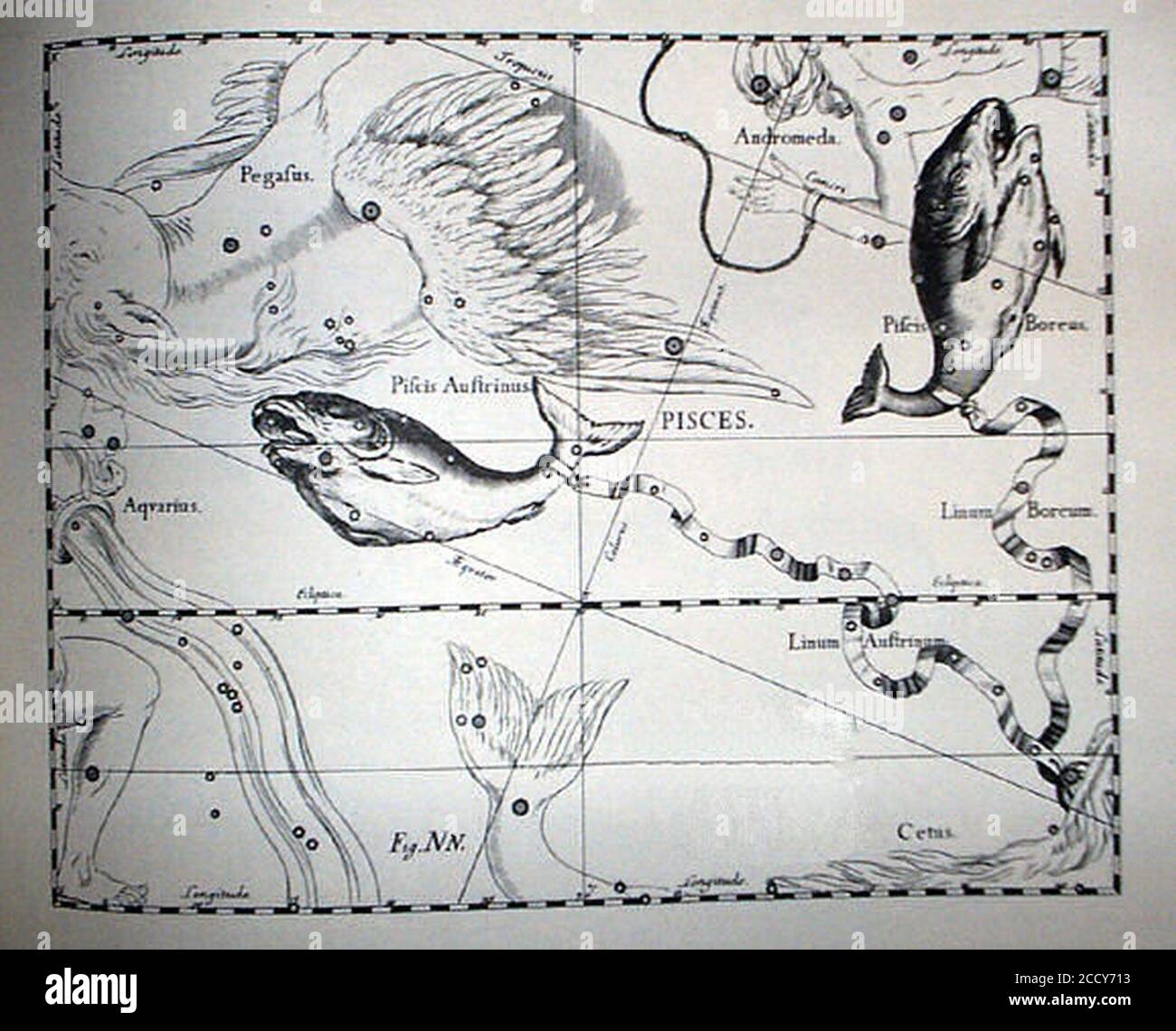 Johannes Hevelius - Prodromus Astronomia - Volume III ‘Firmamentum Sobiescianum sive uranographia‘ - Tavola NN - Pesci. Foto Stock