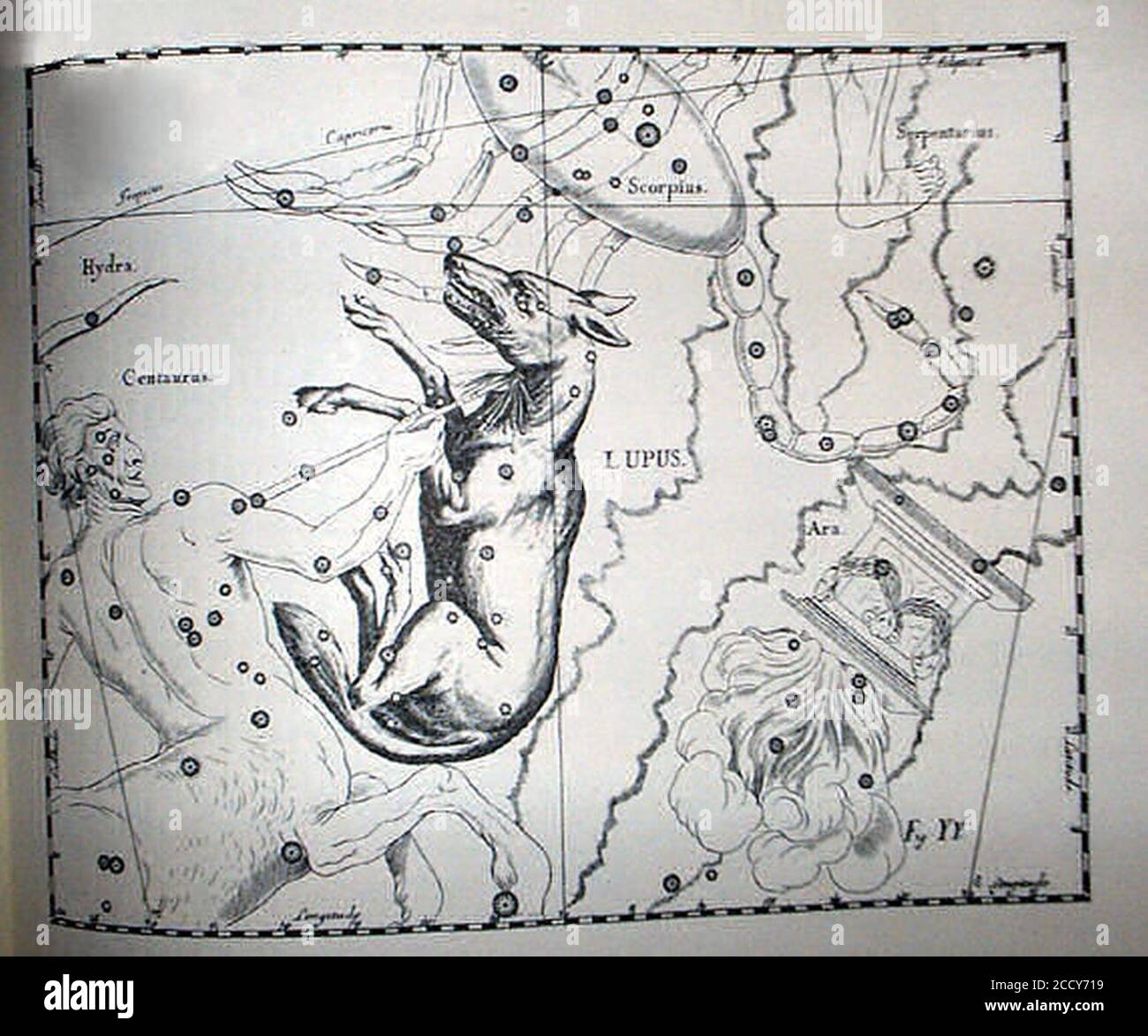 Johannes Hevelius - Prodromus Astronomia - Volume III ‘Firmamentum Sobiescianum sive uranographia‘ - Tavola YY - Lupus. Foto Stock