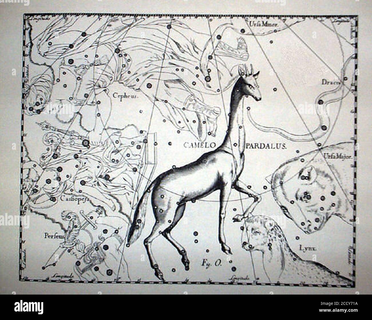 Johannes Hevelius - Prodromus Astronomia - Volume III ‘Firmamentum Sobiescianum sive uranographia‘ - Tavola o - Camelopardalus. Foto Stock