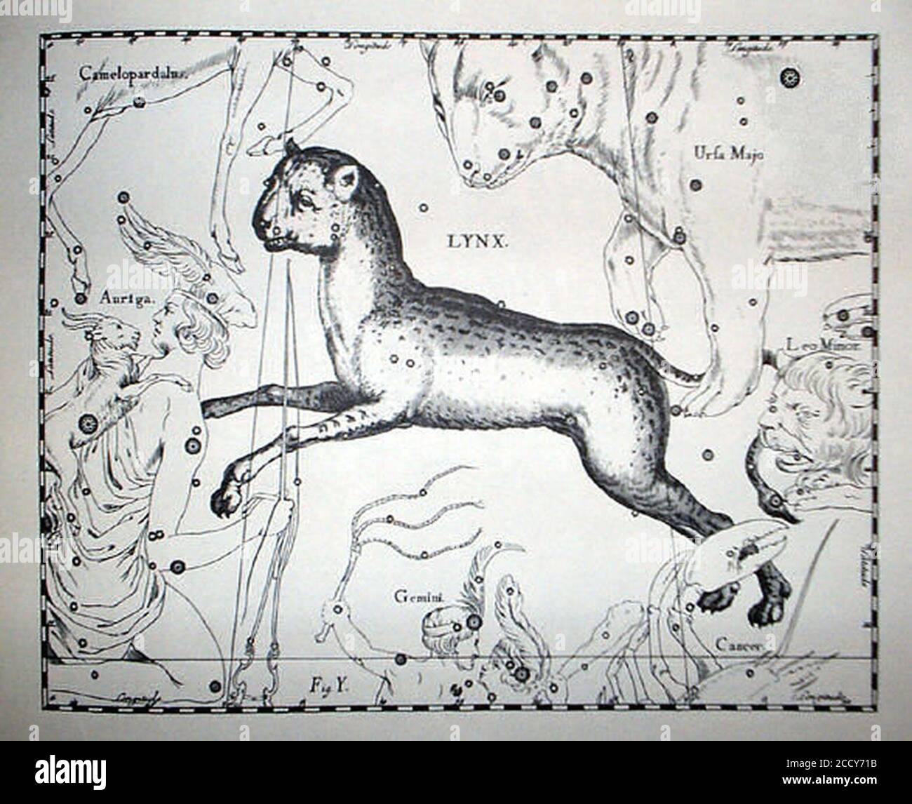 Johannes Hevelius - Prodromus Astronomia - Volume III ‘Firmamentum Sobiescianum sive uranographia‘ - Tavola Y - Lynx. Foto Stock