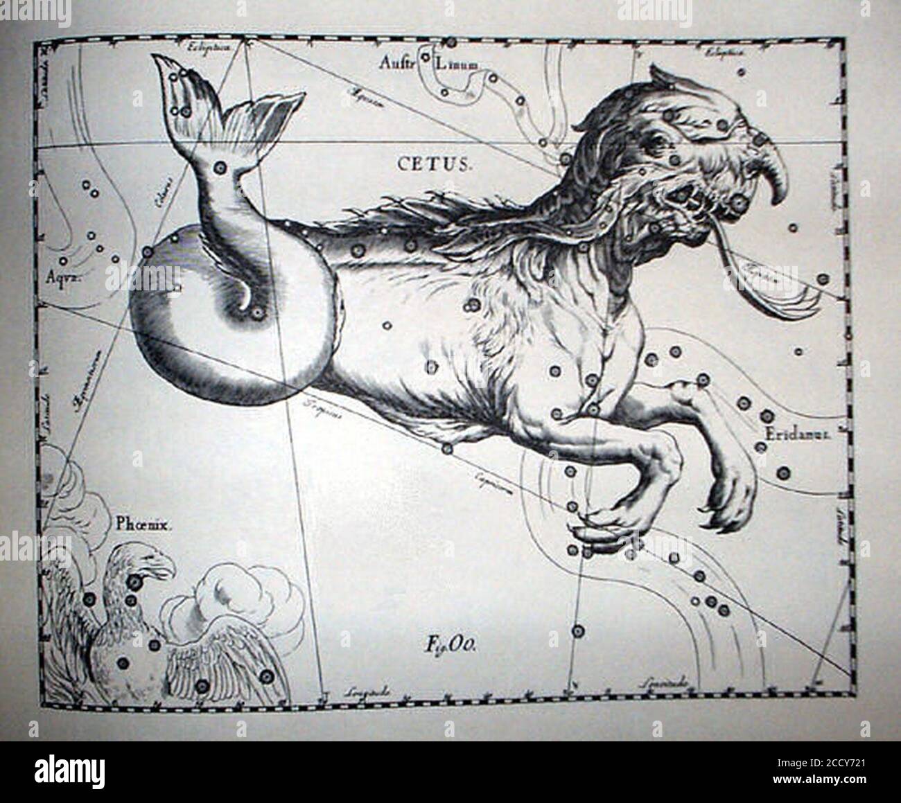 Johannes Hevelius - Prodromus Astronomia - Volume III ‘Firmamentum Sobiescianum sive uranographia‘ - Tavola OO - Cetus. Foto Stock