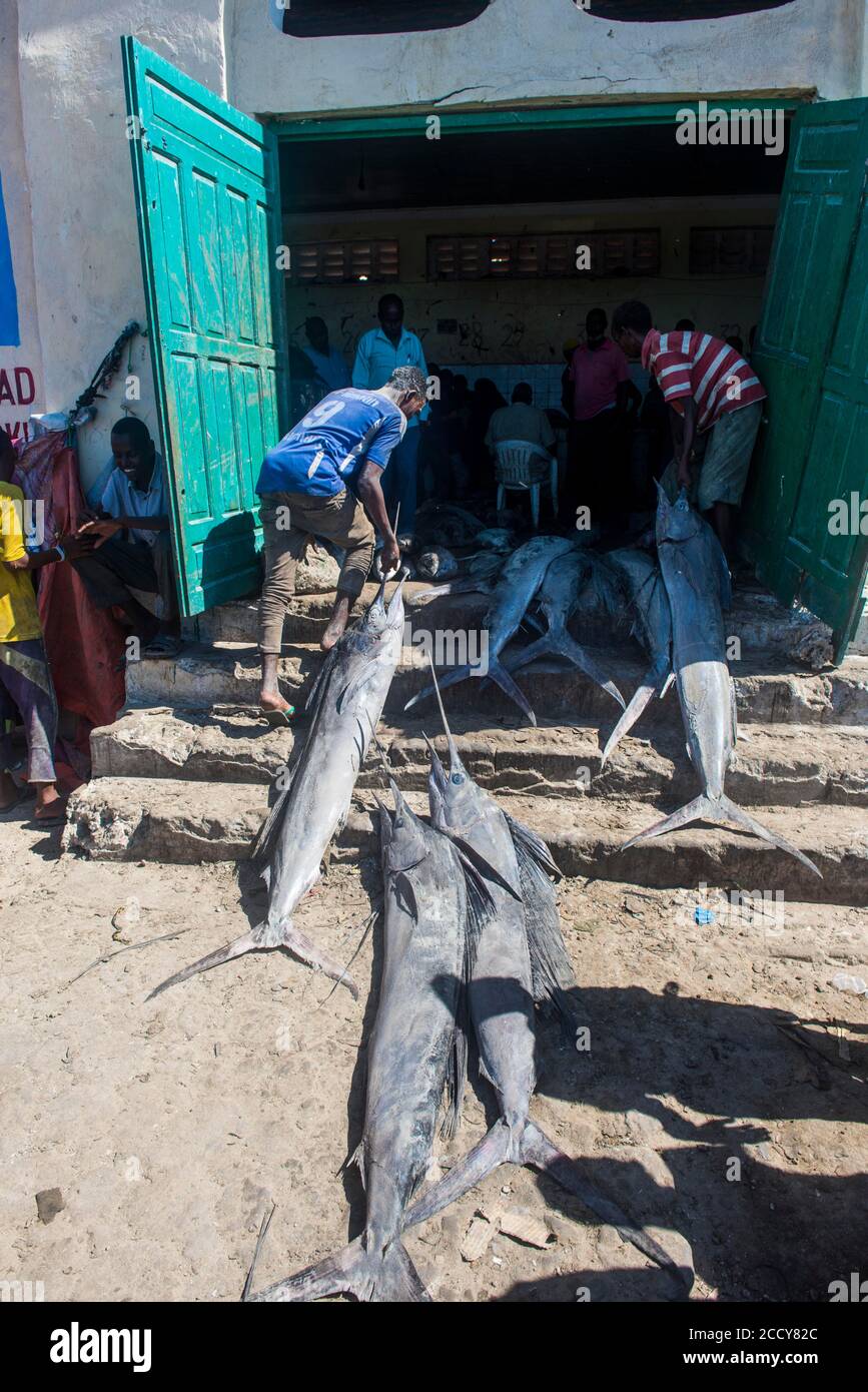 Pesce spada morto prima del mercato del pesce, Mogadiscio, Somalia Foto Stock