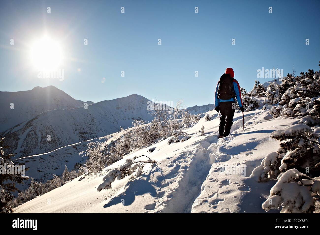 Inverno Tatra montagna sentiero escursionistico, scalatore, Parco Nazionale Tatra, Polonia Foto Stock