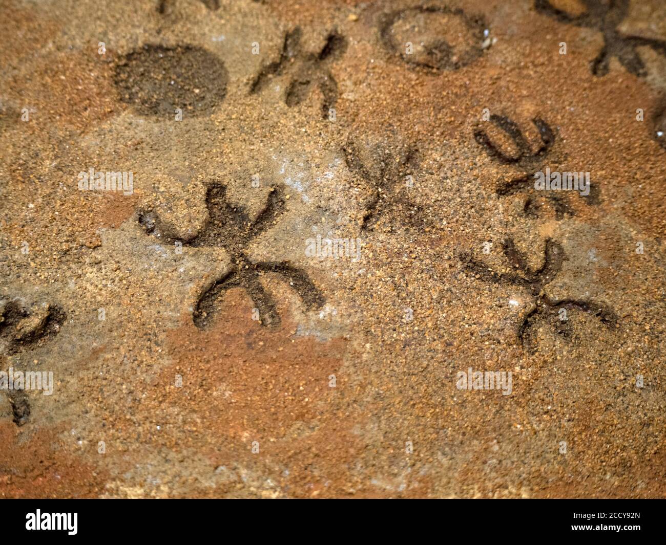 Età della pietra nuragica vecchi petroglifici scritti runica all'interno dei buoi marini Grotte Sardegna Italia Foto Stock