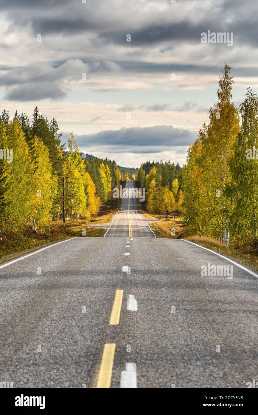 Autostrada nella bella foresta d'autunno nella Finlandia rurale Foto Stock
