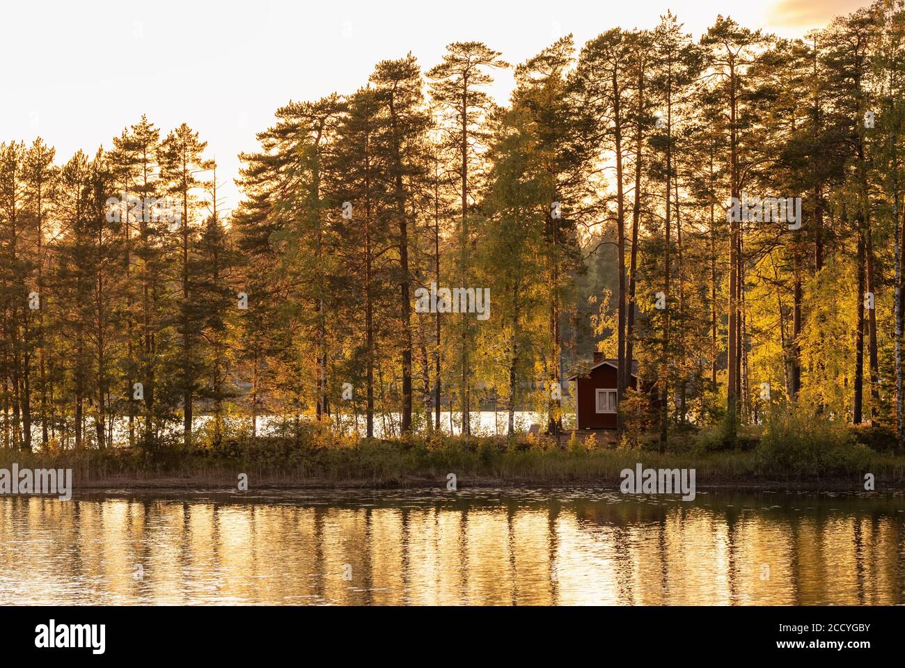 Piccola isola sul lago con una casa di campagna in Finlandia. Foto Stock