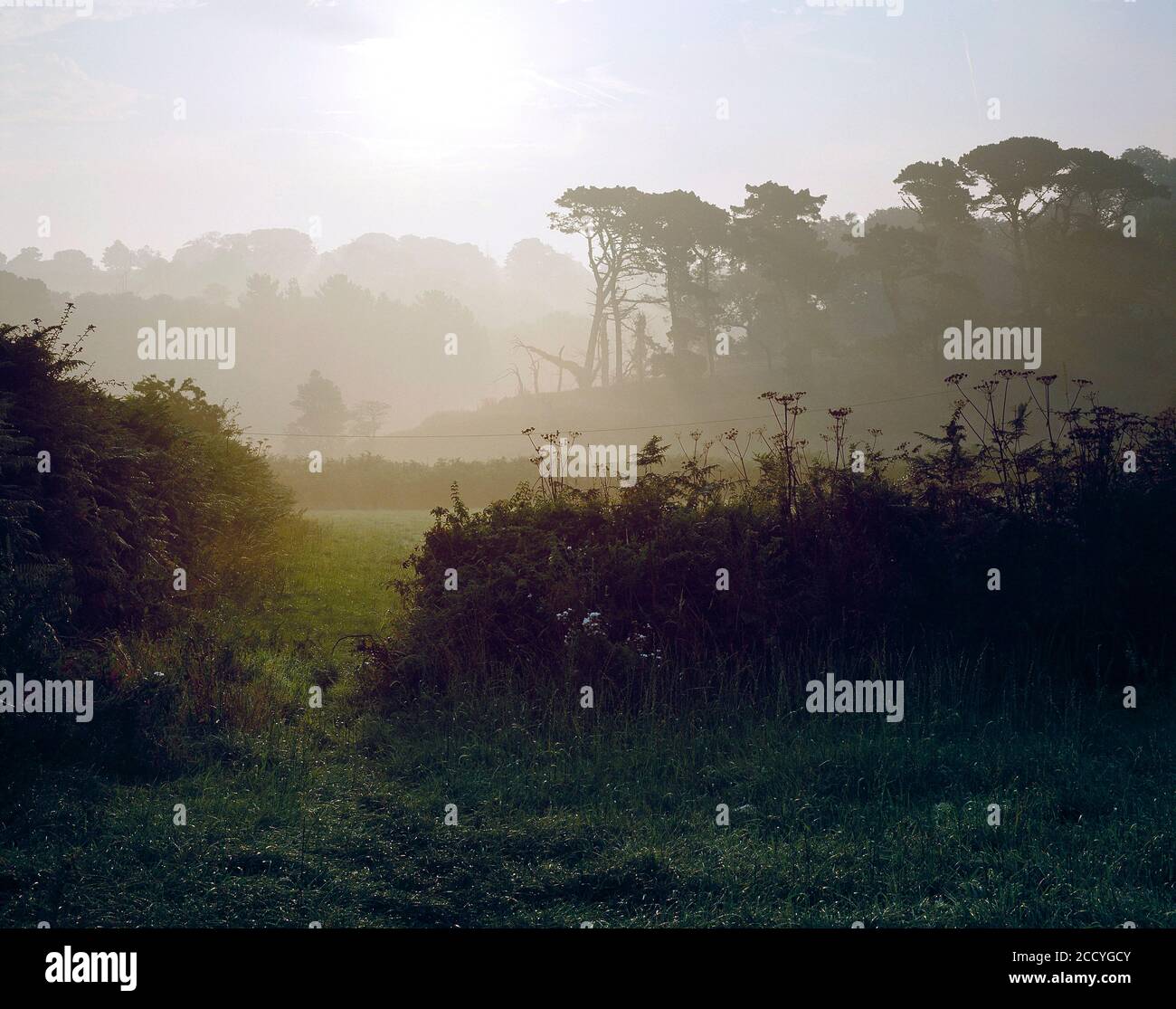 Guernsey. Paesaggio mattina presto. Foto Stock