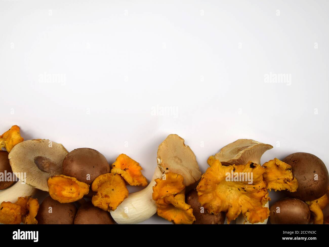 variopinto mix di funghi freschi Foto Stock