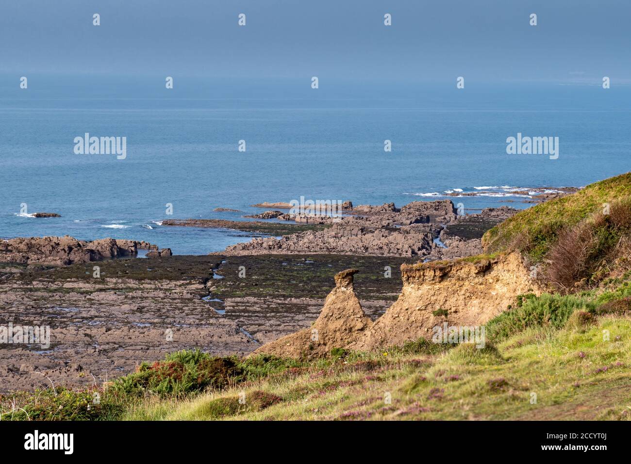 Costa nord del Devon, vista dal sentiero costiero. Agosto. Foto Stock