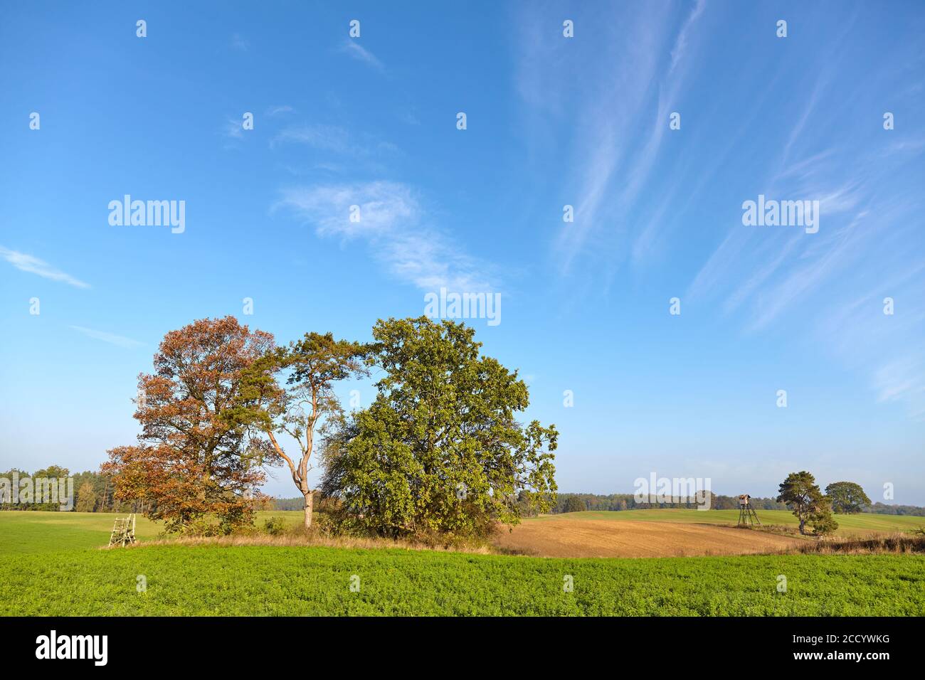 Immagine di un bellissimo paesaggio rurale tranquillo. Foto Stock