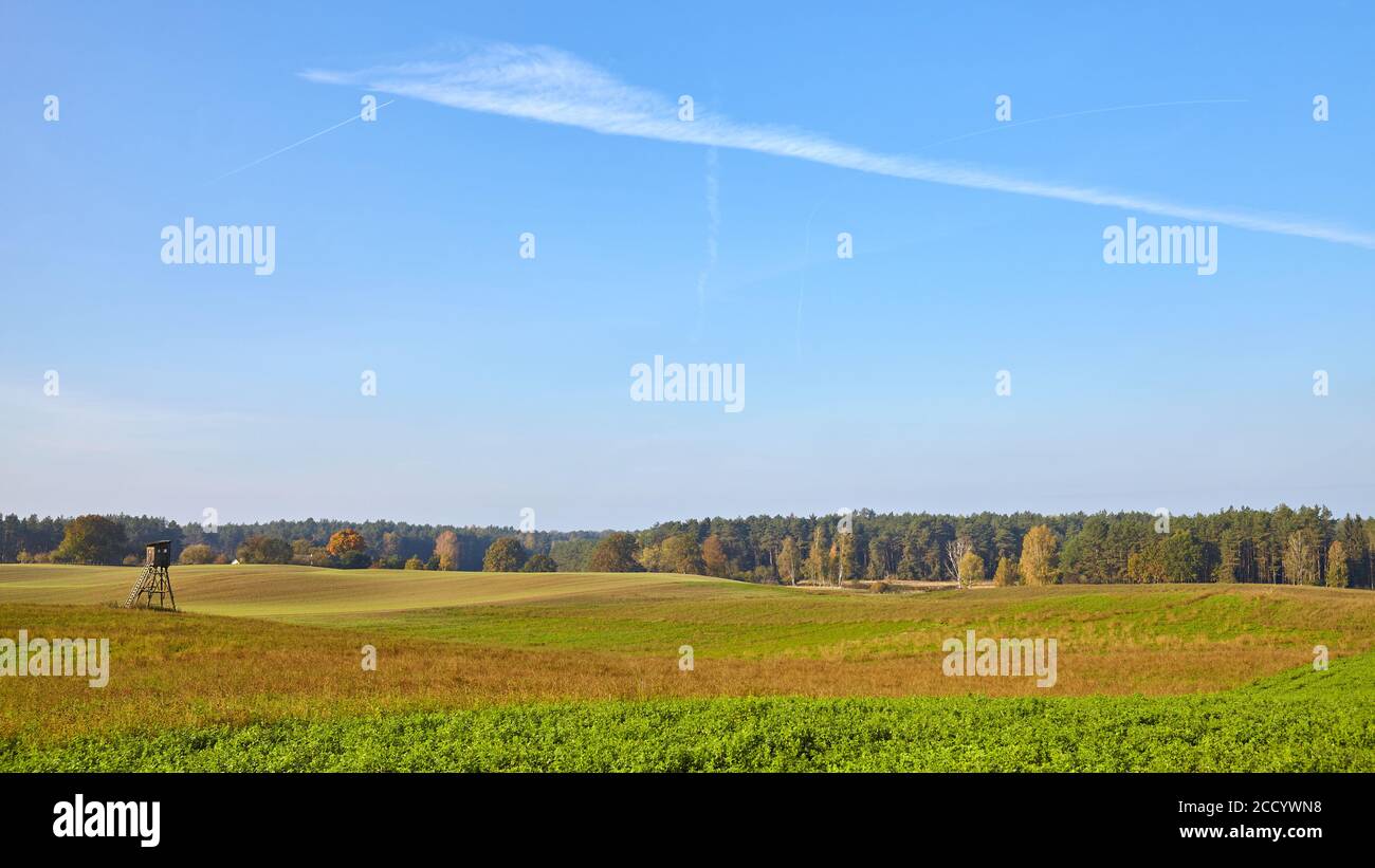 Paesaggio rurale panoramico con torre di caccia, campo e foresta. Foto Stock