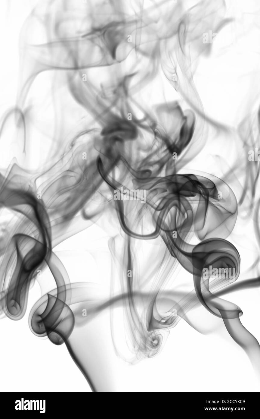 Effetto fumo silky astratto su sfondo bianco. Pulire lo sfondo monocromatico Foto Stock