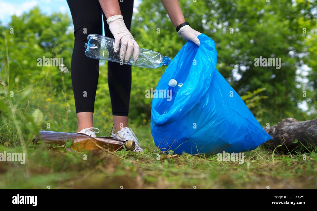 Volontariato raccolta bottiglie nella foresta. Concetto di inquinamento ambientale. Foto Stock