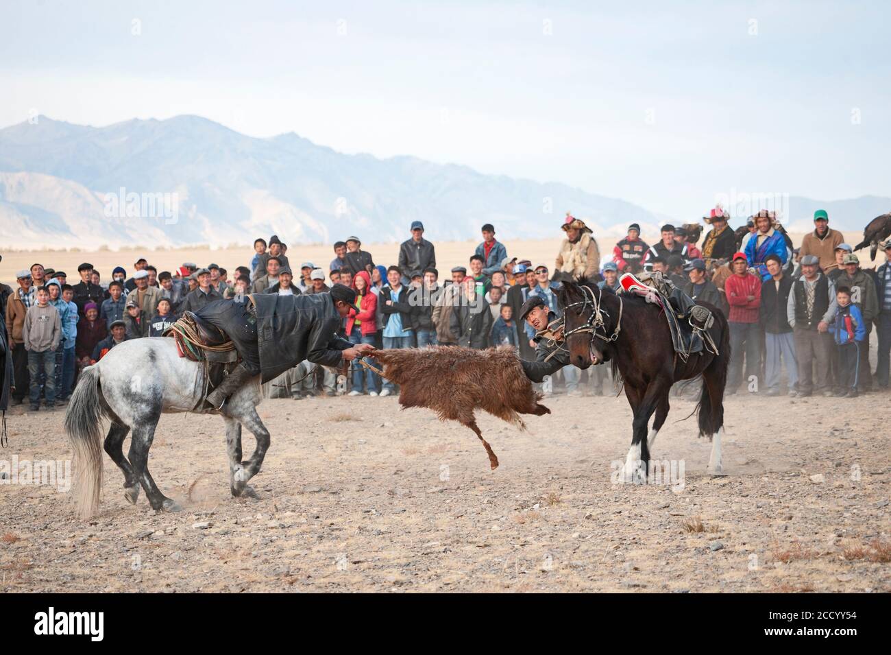 Buzkashi - Mongolo tug di guerra con una pelle di capra Bayan-Ugli al festival dei cacciatori di aquile, Monti Altai, Mongolia occidentale Foto Stock