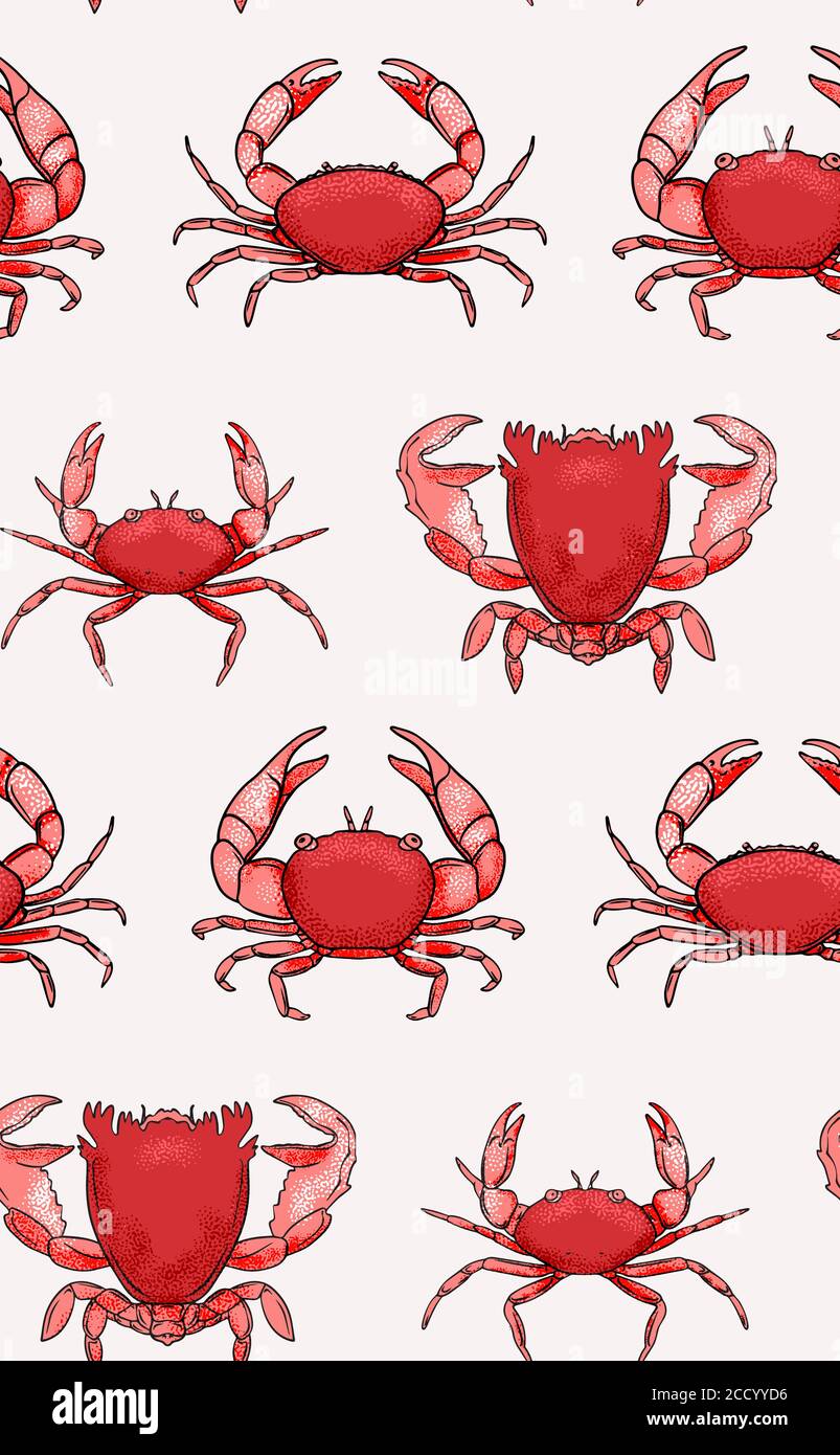 Motivo dei granchi, stampa di ripetizione rossa senza cuciture dei frutti di mare. Oceano marino animale Estate sfondo. Decorazione tropicale selvaggia subacquea. Granchi selvatici che avvolgono Illustrazione Vettoriale