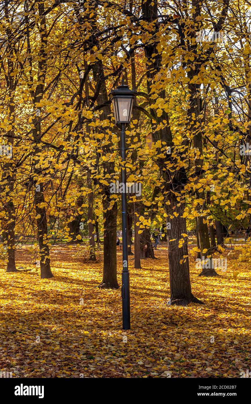 Colori d'autunno Foto Stock