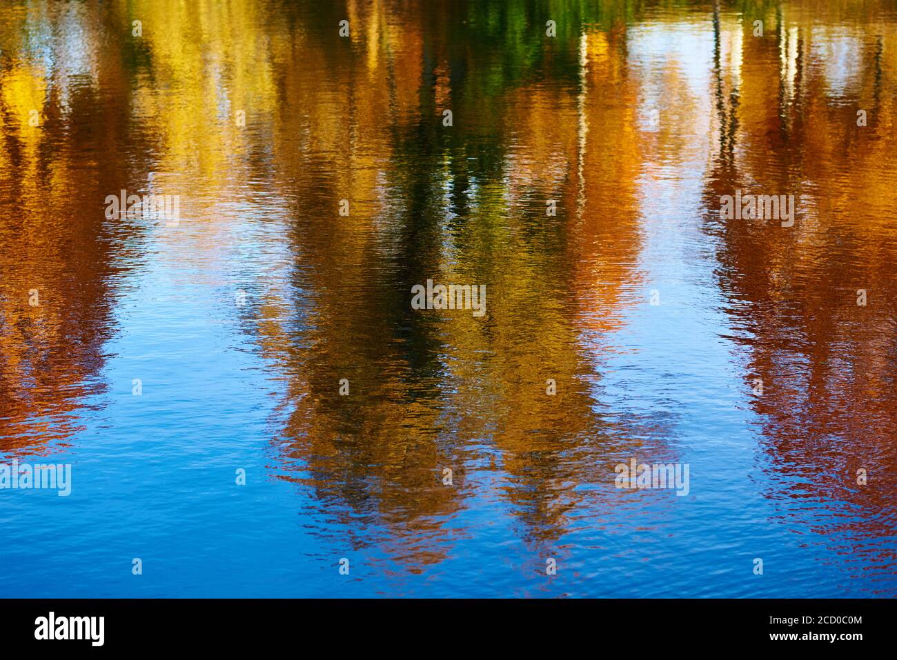 Sfondo autunno. Riflesso di alberi d'autunno offuscati e colorati nel fiume Foto Stock