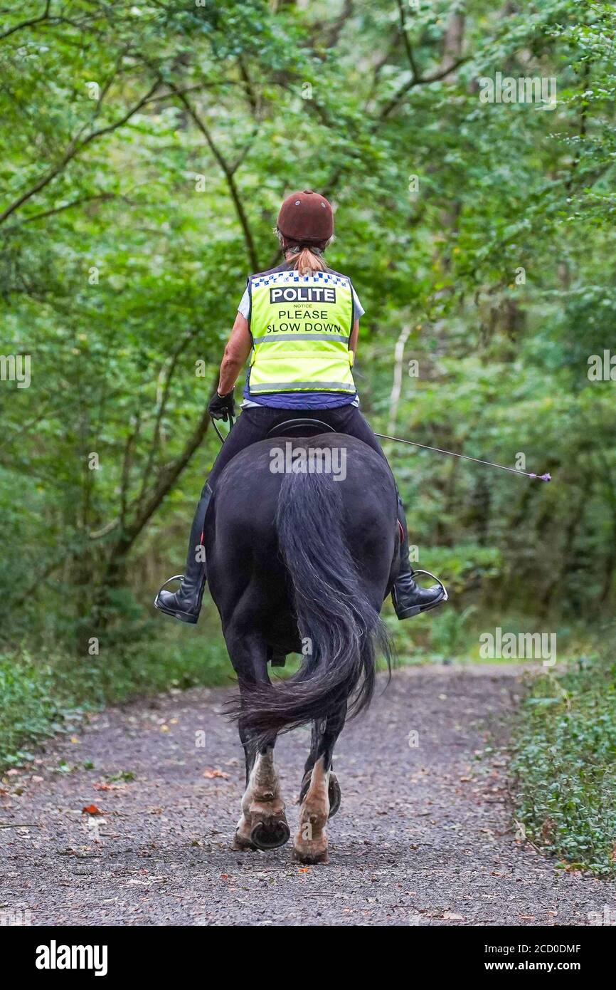 Vista posteriore di cavallo e cavaliere femminile isolato sulla briddway del Regno Unito nella campagna rurale. Parole giubbotto di alta visibilità educato Please Rallenta. Foto Stock