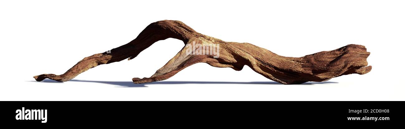 driftwood isolato su sfondo bianco, bel legno invecchiato Foto Stock