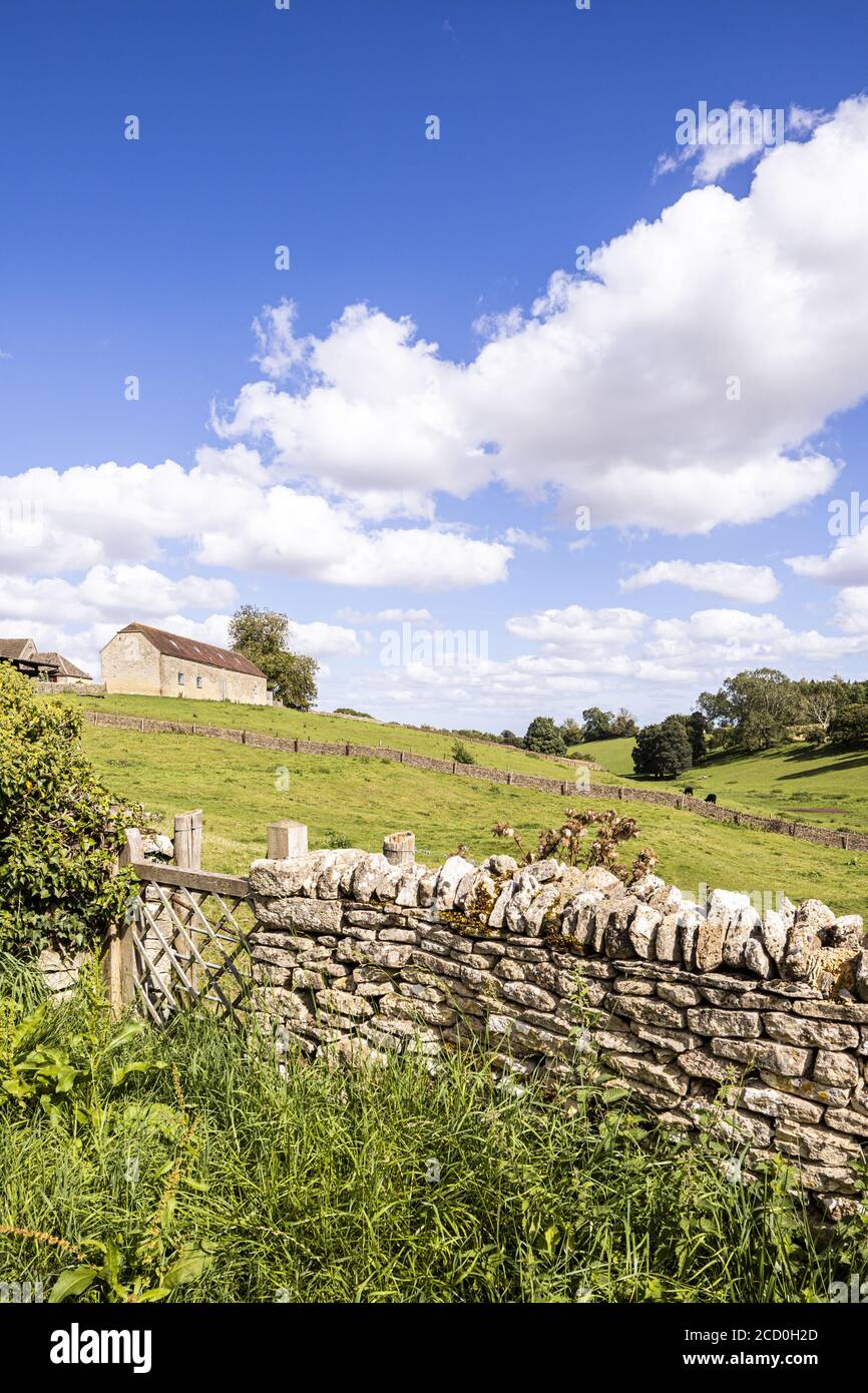 Un paesaggio estivo dal villaggio Cotswold di Calmsden Gloucestershire REGNO UNITO Foto Stock