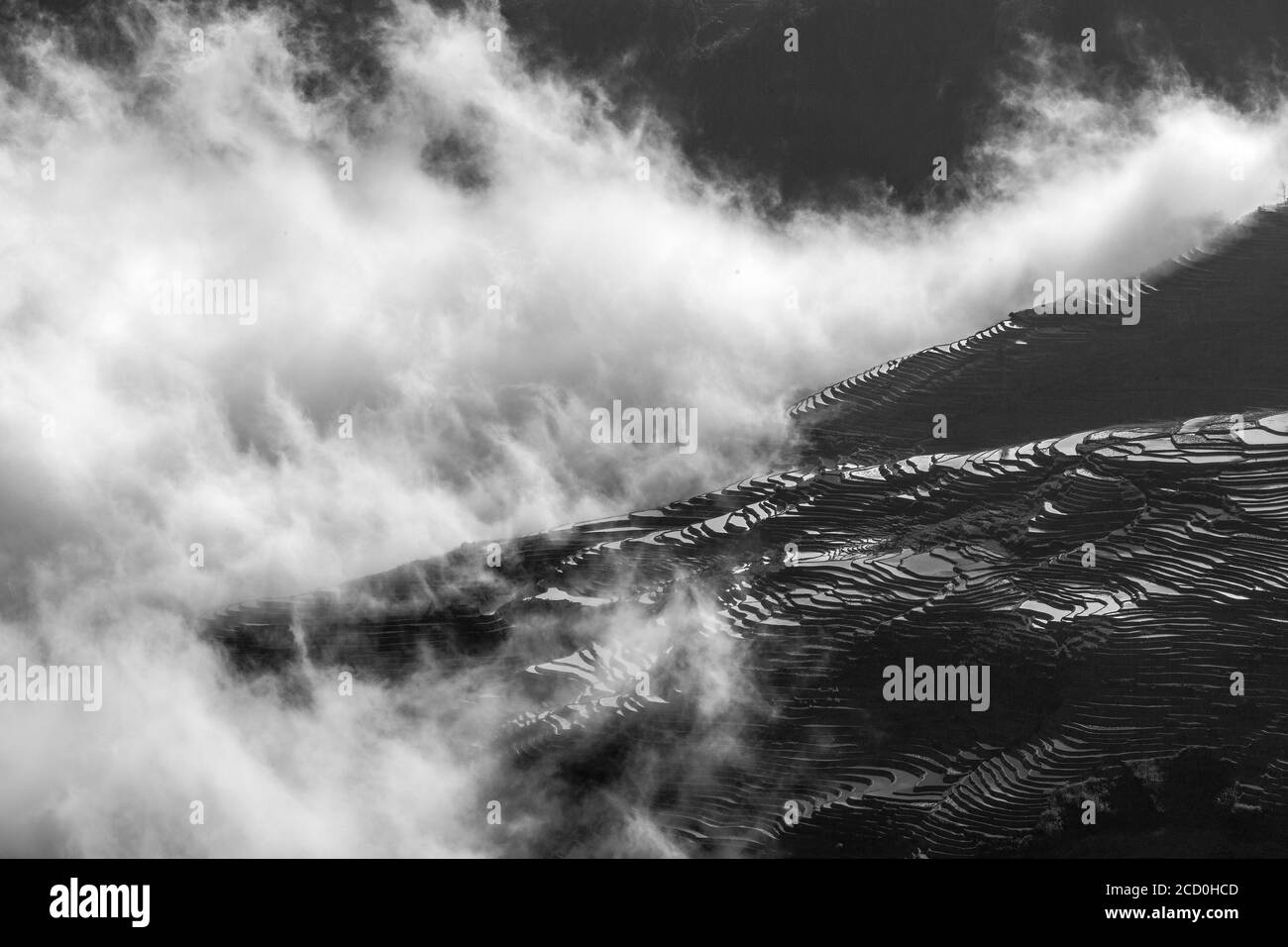Alba sulle terrazze di riso di Yuanyang, sud della provincia dello Yunnan in Cina. In inverno, le terrazze sono allagate, dando bella riflessioni nell'acqua. Foto Stock