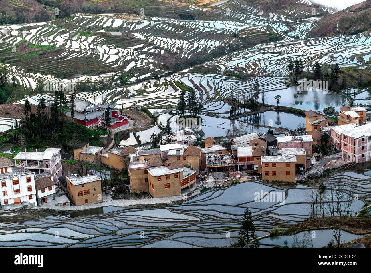 Alba sulle terrazze di riso di Yuanyang, sud della provincia dello Yunnan in Cina. In inverno, le terrazze sono allagate, dando bella riflessioni nell'acqua. Foto Stock