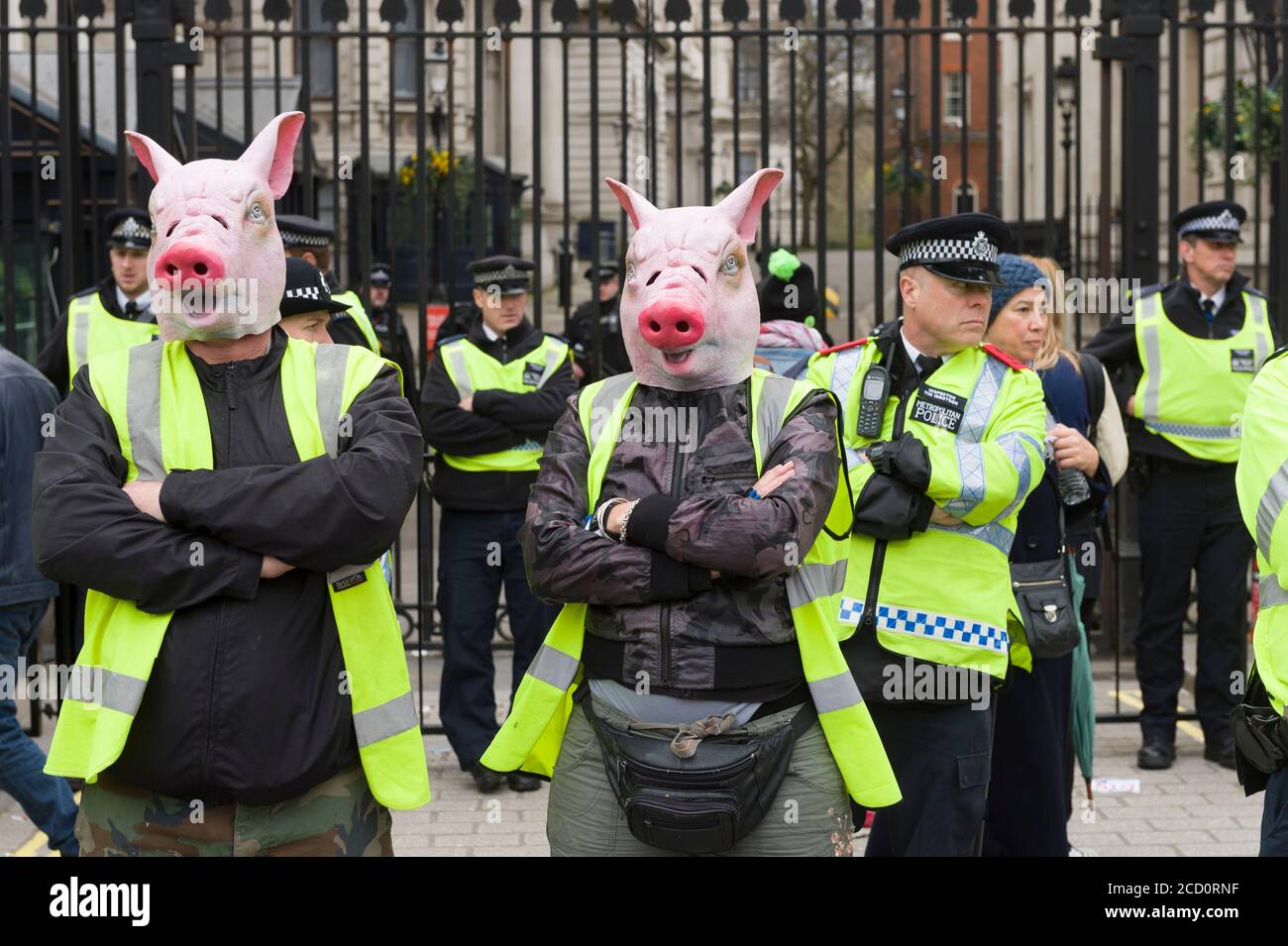 Manifestanti che indossavano maschere di maiale in piedi nella linea di polizia fuori Downing Street la protesta chiedeva dimissioni del primo ministro David Cameron, per il fatto di avere fondi in fiducia offshore, Blairmore Holdings, una società con sede a Panama fondata dal suo defunto padre Ian, prima di venderli nel 2010. Gli organizzatori della manifestazione hanno affermato che le rivelazioni dei Panama Papers hanno sollevato questioni circa l'impegno di Cameron a contrastare l'evasione fiscale. Cameron ha negato qualsiasi illecito, ma ha ammesso che avrebbe potuto gestire meglio la riga fiscale. Downing Street, Whitehall, Londra, Regno Unito. 9 Apr 2016 Foto Stock