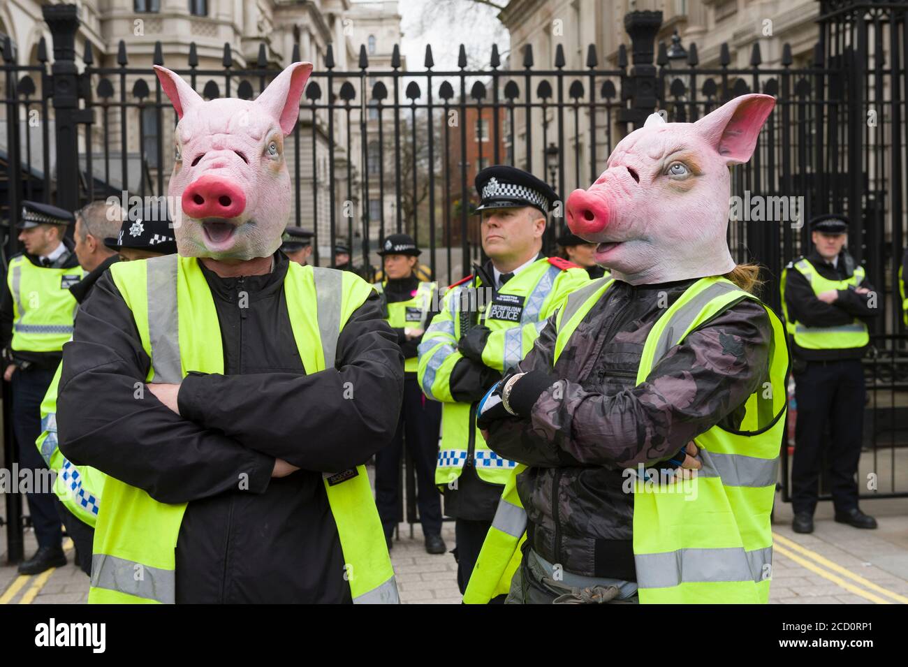 Manifestanti che indossavano maschere di maiale in piedi nella linea di polizia fuori Downing Street la protesta chiedeva dimissioni del primo ministro David Cameron, per il fatto di avere fondi in fiducia offshore, Blairmore Holdings, una società con sede a Panama fondata dal suo defunto padre Ian, prima di venderli nel 2010. Gli organizzatori della manifestazione hanno affermato che le rivelazioni dei Panama Papers hanno sollevato questioni circa l'impegno di Cameron a contrastare l'evasione fiscale. Cameron ha negato qualsiasi illecito, ma ha ammesso che avrebbe potuto gestire meglio la riga fiscale. Downing Street, Whitehall, Londra, Regno Unito. 9 Apr 2016 Foto Stock