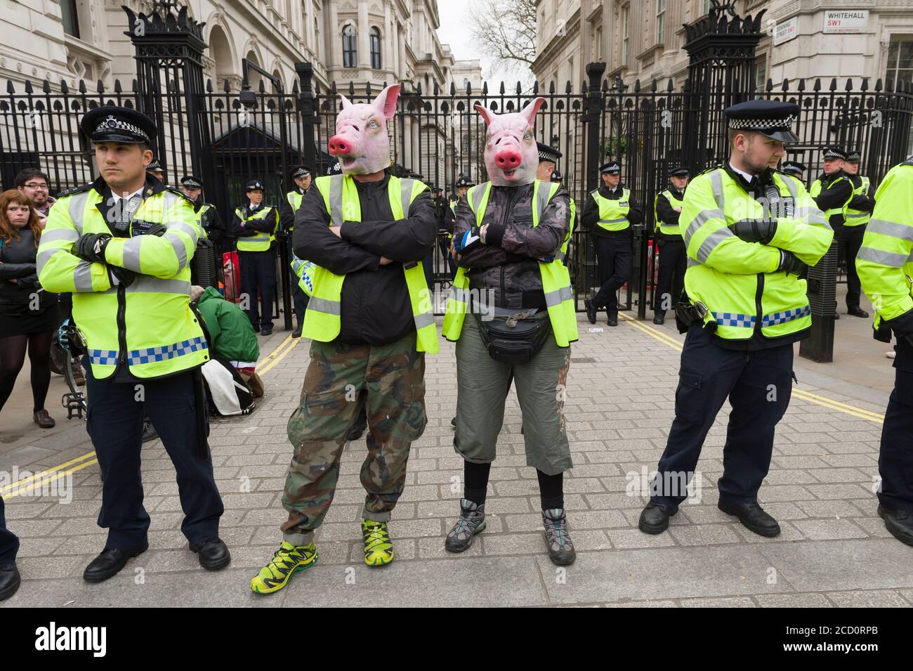 Manifestanti che indossavano maschere di maiale in piedi nella linea di polizia fuori Downing Street la protesta chiedeva dimissioni del primo ministro David Cameron, per il fatto di avere fondi in fiducia offshore, Blairmore Holdings, una società con sede a Panama fondata dal suo defunto padre Ian, prima di venderli nel 2010. Gli organizzatori della manifestazione hanno affermato che le rivelazioni dei Panama Papers hanno sollevato questioni circa l'impegno di Cameron a contrastare l'evasione fiscale. Cameron ha negato qualsiasi illecito, ma ha ammesso che avrebbe potuto gestire meglio la riga fiscale. Downing Street, Whitehall, Londra, Regno Unito. 9 Apr 2016 Foto Stock