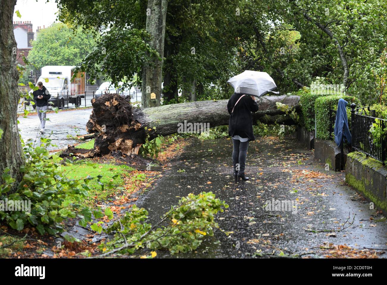 25 agosto 2020. Glasgow, Scozia, Regno Unito. I residenti in Balshagray Ave. Hanno avuto una fortunata fuga quando Storm Francis ha portato giù un grande albero che ha colpito le gronde prima di atterrare attraverso la parte anteriore delle case. Foto Stock