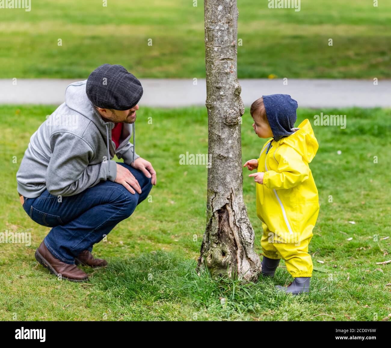 Padre che gioca peek-a-boo con 21 mesi figlia dietro un tronco di albero in un parco; North Vancouver, British Columbia, Canada Foto Stock