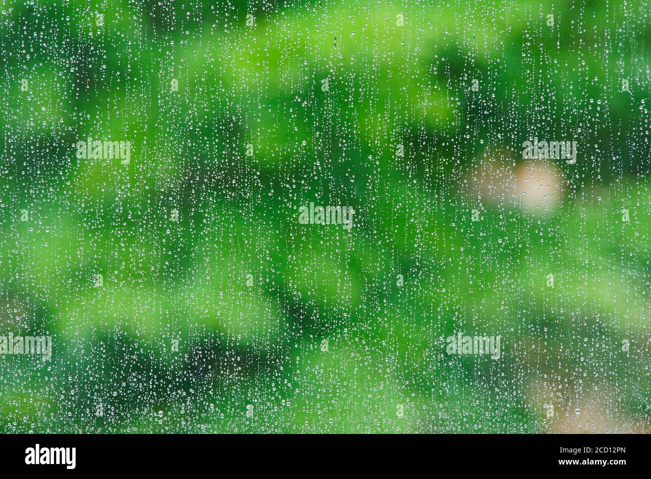 Montreal,Quebec,Canada,25 Agosto 2020.Close-up di gocce di pioggia su window.Credit:Mario Beauregard/Alamy News Foto Stock