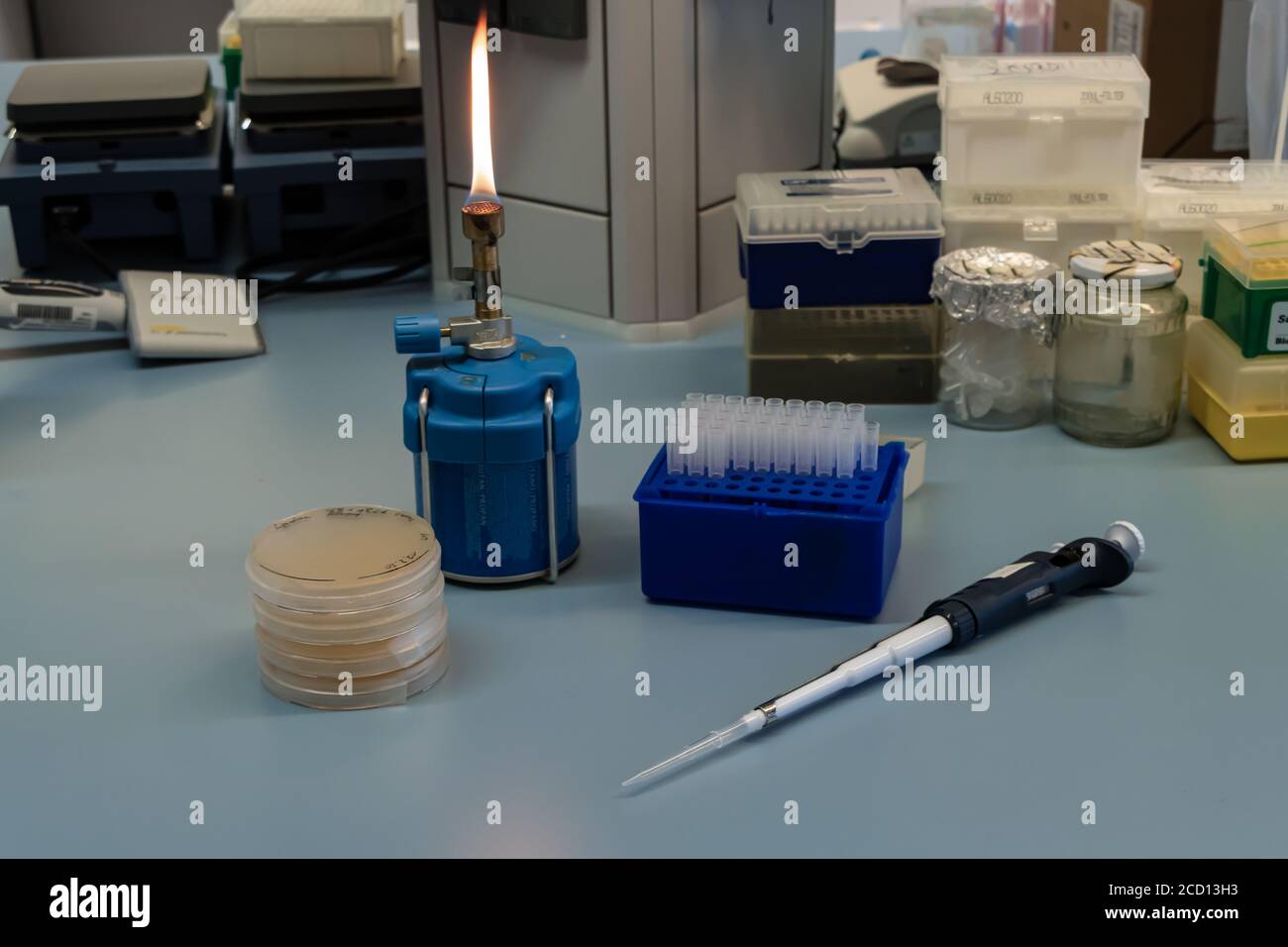 Generazione di batteri geneticamente modificati Foto Stock